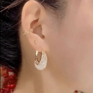 Elegant Earrings